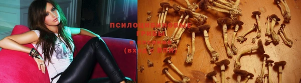 крисы Гусь-Хрустальный