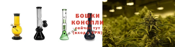 хмурый Горняк