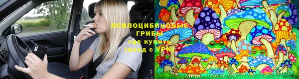 хмурый Горняк