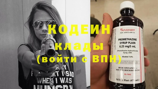 не бодяженный Гусев