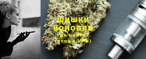 крисы Гусь-Хрустальный